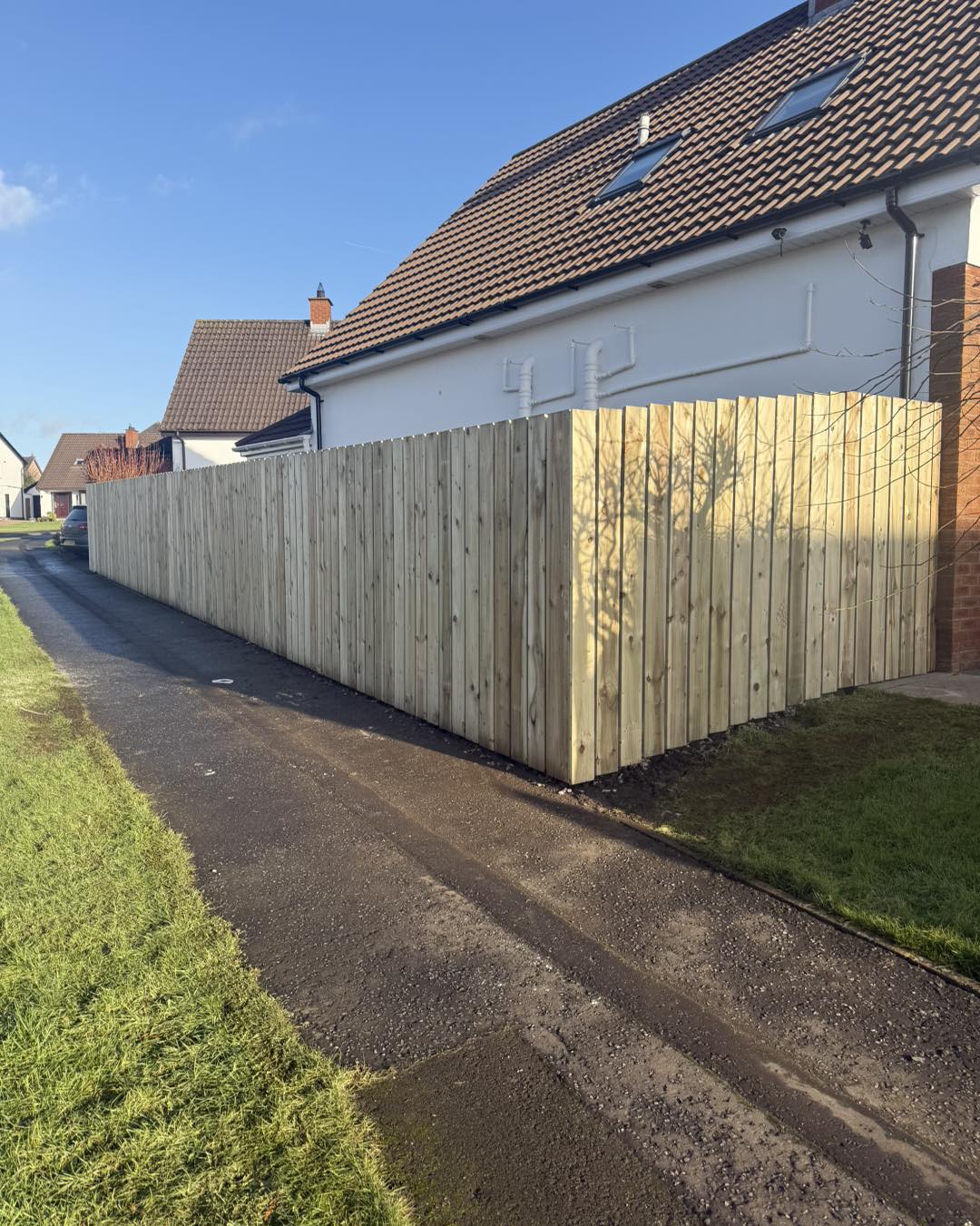 493469944_1236782925119139_5306167120224544206_n